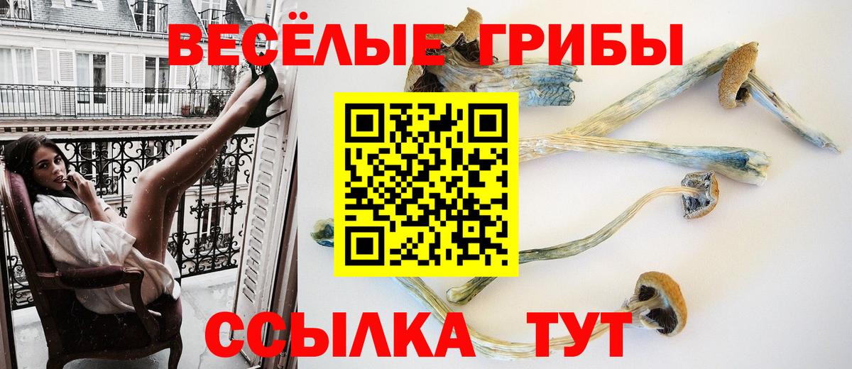 Псилоцибиновые грибы GOLDEN TEACHER Можайск